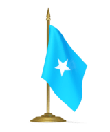 Посольство Сомали