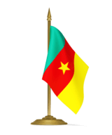 Посольство Камерун